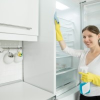 Refrigerator Cleaning