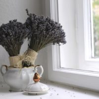 Lavender at Window