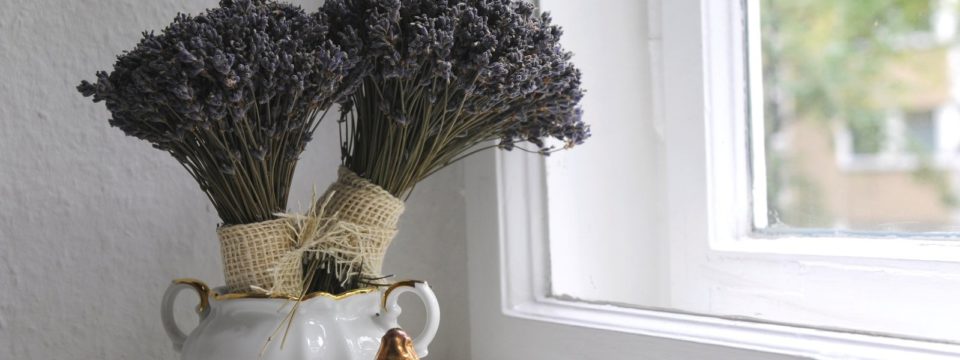 Lavender at Window