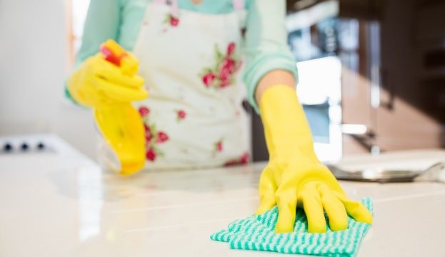 Professional Cleaning Service