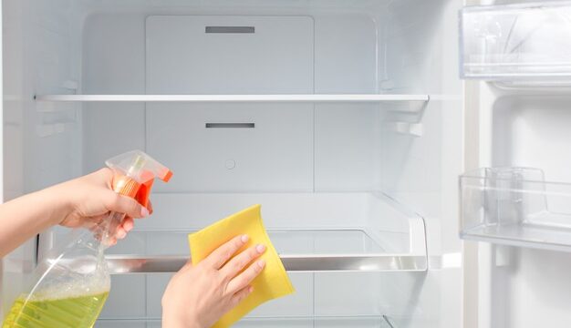 Fridge cleaning